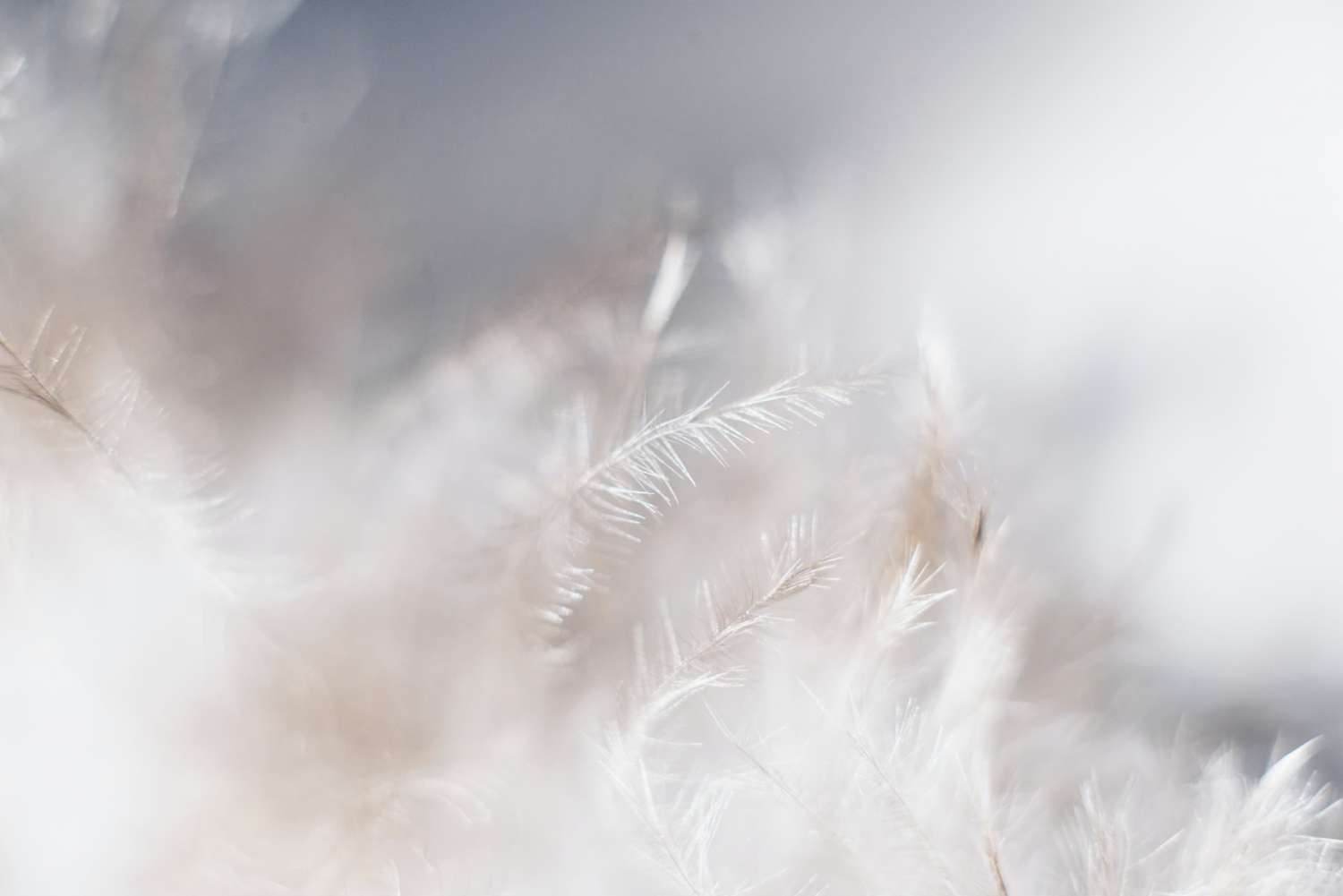 Curso Baratos Online 9 evie s Sw7f58YJbc0 unsplash